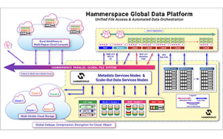 Image Credit: Hammerspace